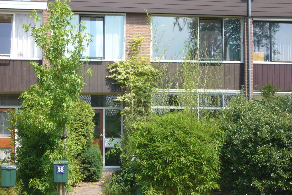 B&B Heijendaal Nijmegen Rom bilde